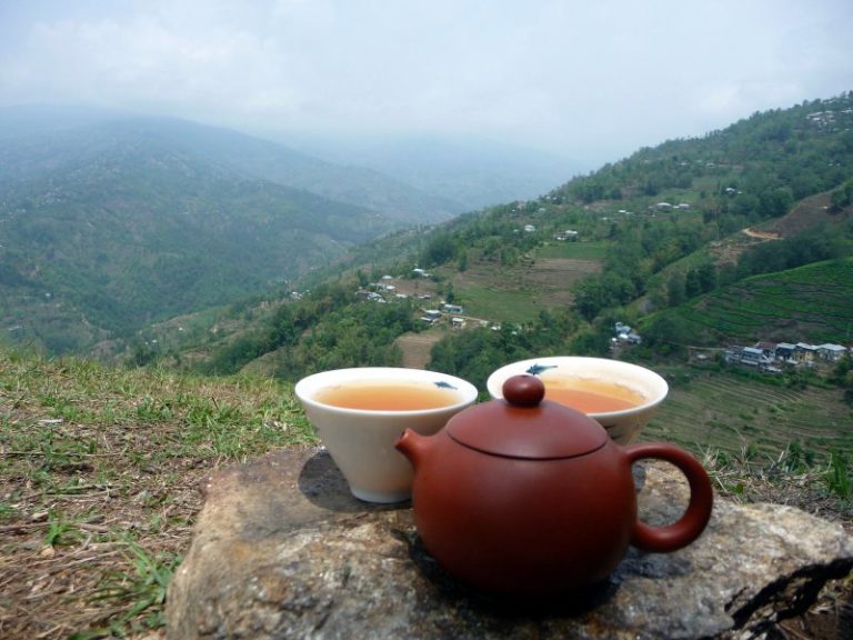 Nepal Tea Tour 2019 Little Tree Tea Tea and Tea Tours
