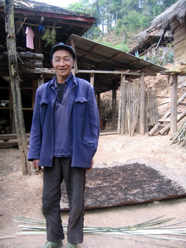 Yunnan tea maker