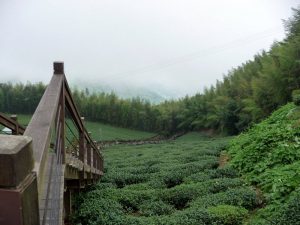 Tea stairs