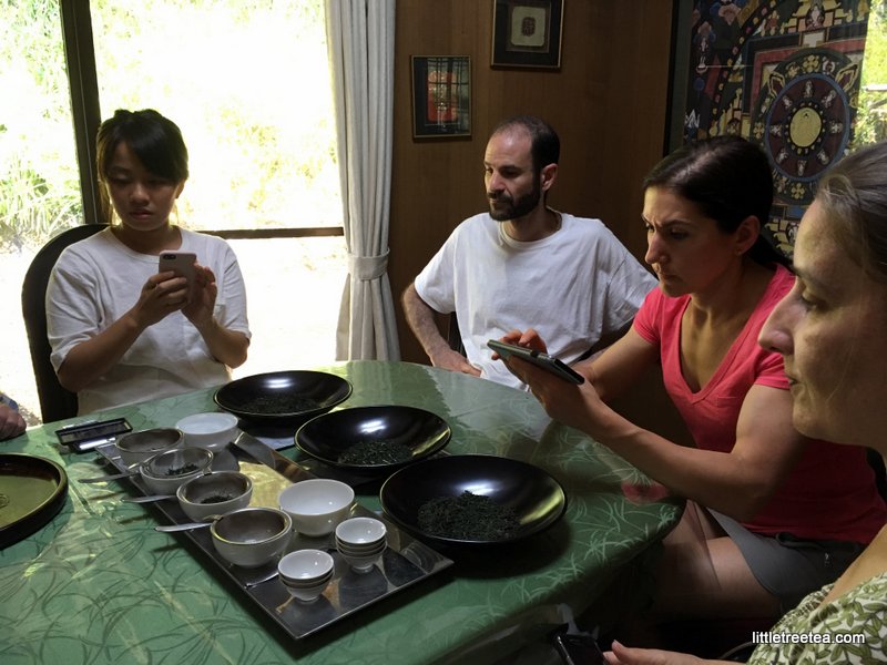 Learning to evaluate Japanese tea