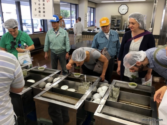 smelling the brewed tea leaves