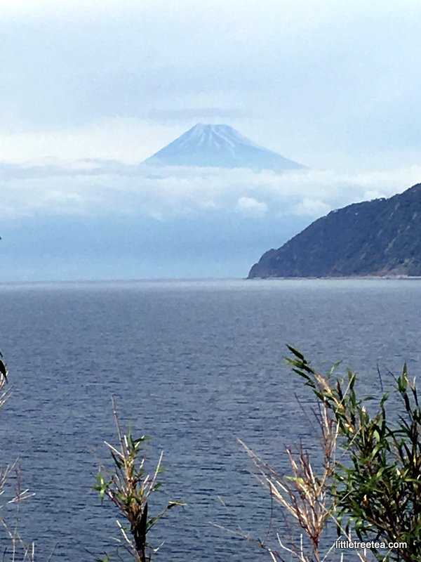 View of Mt Fuji