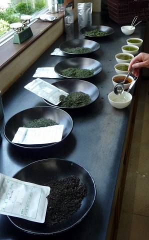 tasting Japanese teas